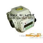 供應(yīng)閥門電動執(zhí)行器 EOA開關(guān)型電動執(zhí)行器 EOA調(diào)節(jié)型、整體型