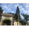 廣東深圳惠州卓洲悅園大亞灣有價(jià)值嗎?開(kāi)盤9X折